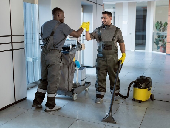 tata cleaning img